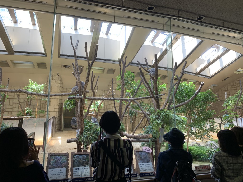 【外出】東山動物園 (3)