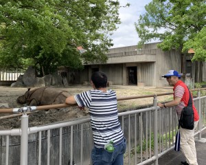 【外出】東山動物園 (2)