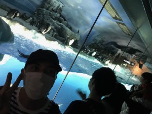 水族館③