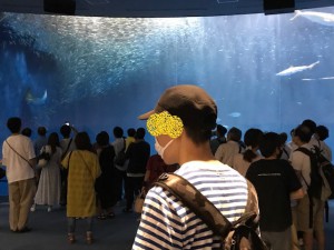 水族館⑥