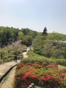 余暇⑤東山植物園