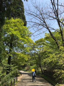 余暇⑳東山植物園