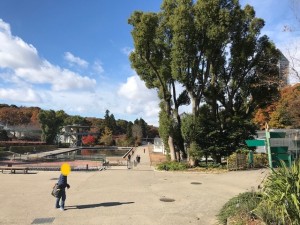 東山植物園④